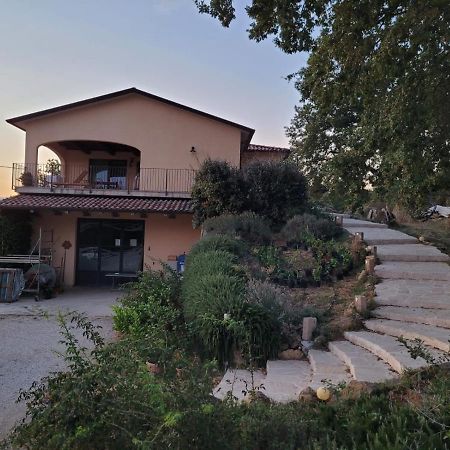 マンチャーノ La Residenza Di Campagnaゲストハウス エクステリア 写真