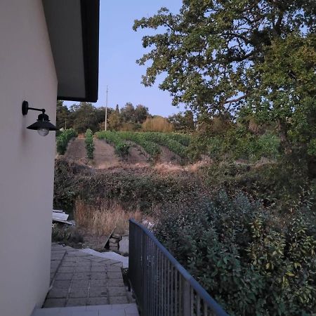 マンチャーノ La Residenza Di Campagnaゲストハウス エクステリア 写真