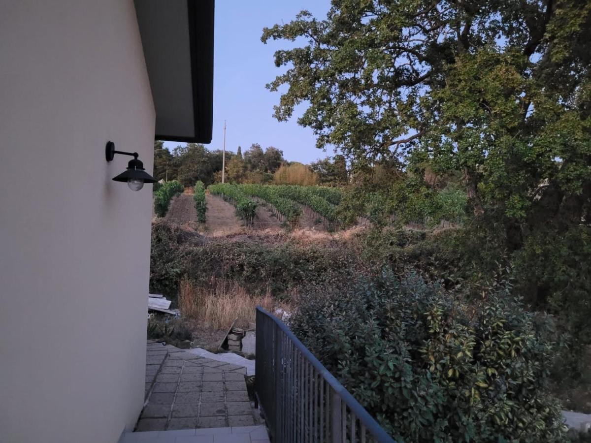 マンチャーノ La Residenza Di Campagnaゲストハウス エクステリア 写真